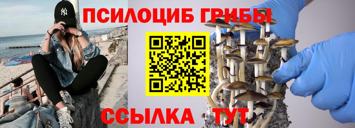 Галлюциногенные грибы Psilocybine cubensis  наркотики  Вход с VPN  Кушва  Галлюциногенные грибы MAGIC MUSHROOMS 